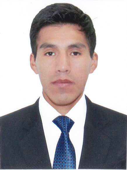Henry Wilson Quispe Pariona
