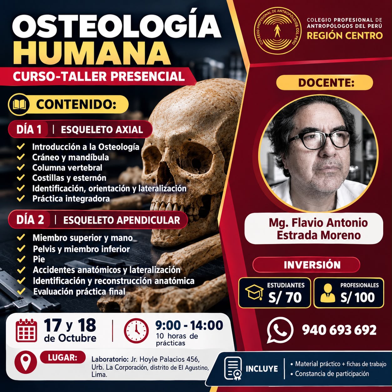 Osteología Humana