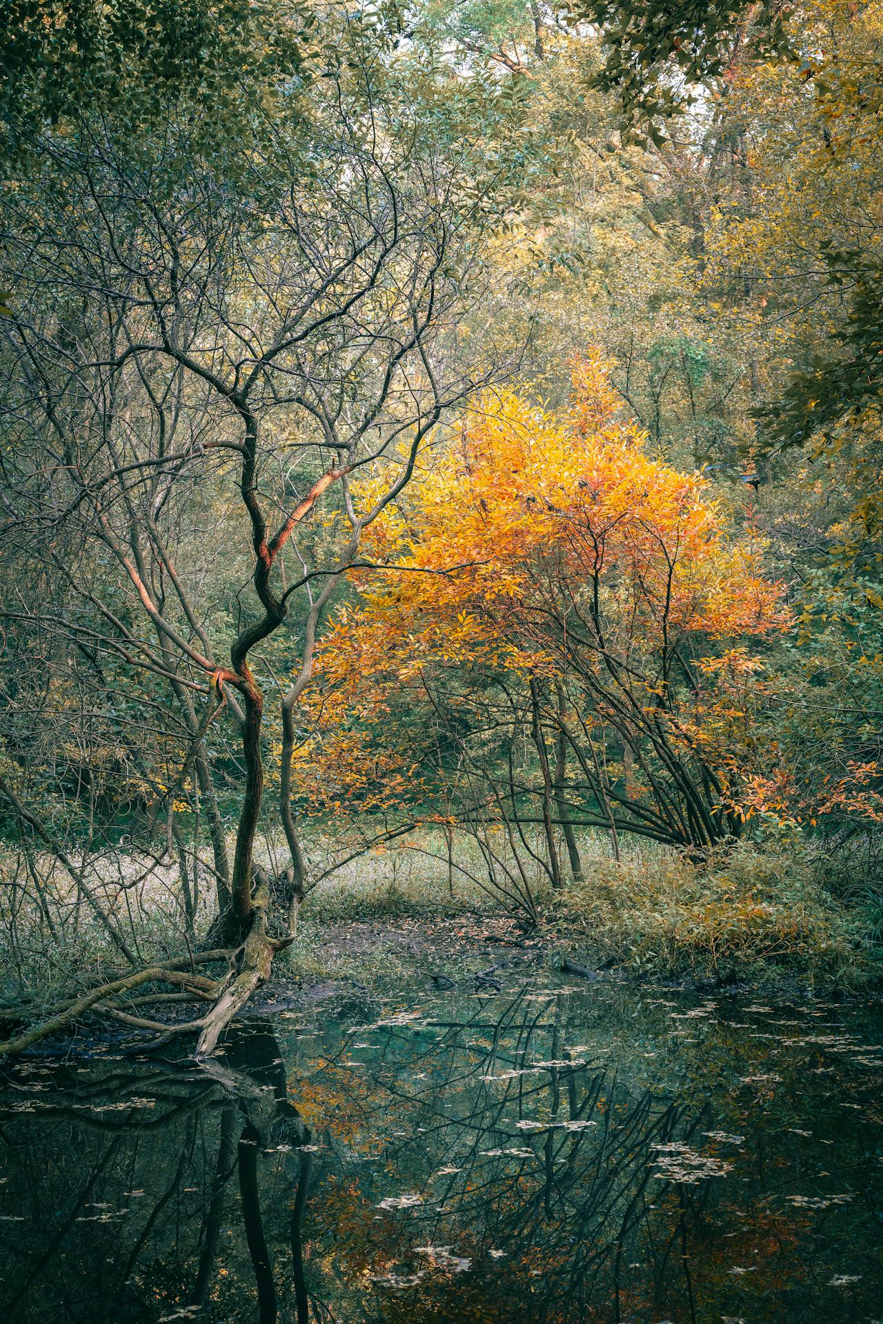 pexels cheng shi song 427082720 35022550